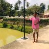 hirundinsara5