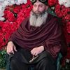 bushraraza1231