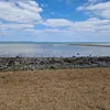 pupurai0