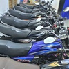 dwipras135c