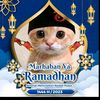 suardi_nurmilasarip