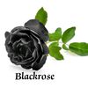 blackroses5683