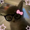 ncyy_212