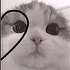 .heartsforyouuz