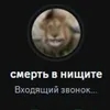 user737536082480