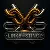 🐝 Link’s To Stingz 🐝