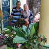 sismawati86
