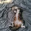 wawfdawdawd