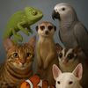 exoticamazingzoo