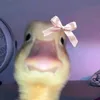dhgfkhsh