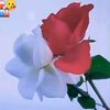 pramisha.mgr.20