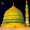 shanishah12146