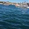 gul_nara_62