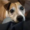 greg_2603