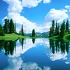 user260516508