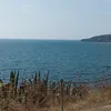 albertomataresi