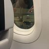 mirror.7770