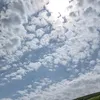 couleknalfh