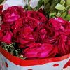 hafiz.sharafat.al0