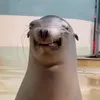 dembezzuma