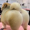 rosalili52