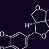 seselinium