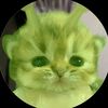 selv_5