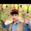 .asad313