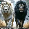 mouhammed_mt