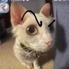 hahanenm