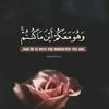 darenmohamed33