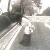 magotto_0
