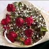 abeermohamed1737