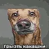 user148852422
