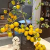hoa_mai0099