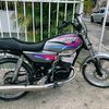 user4137357160277