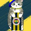 ay_isigi026