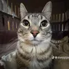 samuelflores158