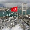 habibullah.amiri77