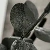 dtolz5