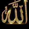 yosraassem0