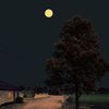 ianh116_