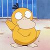 duckchief
