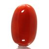 redcoralred