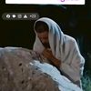 user8486914509554