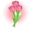 hello_guysss08