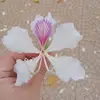 hoangtrung_99tt