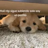 luciatorrejongaba5