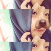 tikanyel