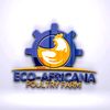 ECO-AFRICANA